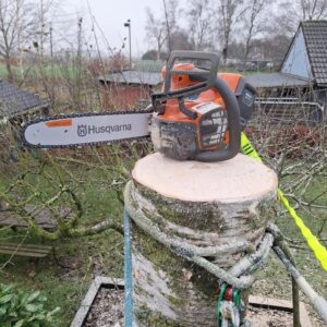 whatsapp image 2025 11 19 at 11.46.24 (3)