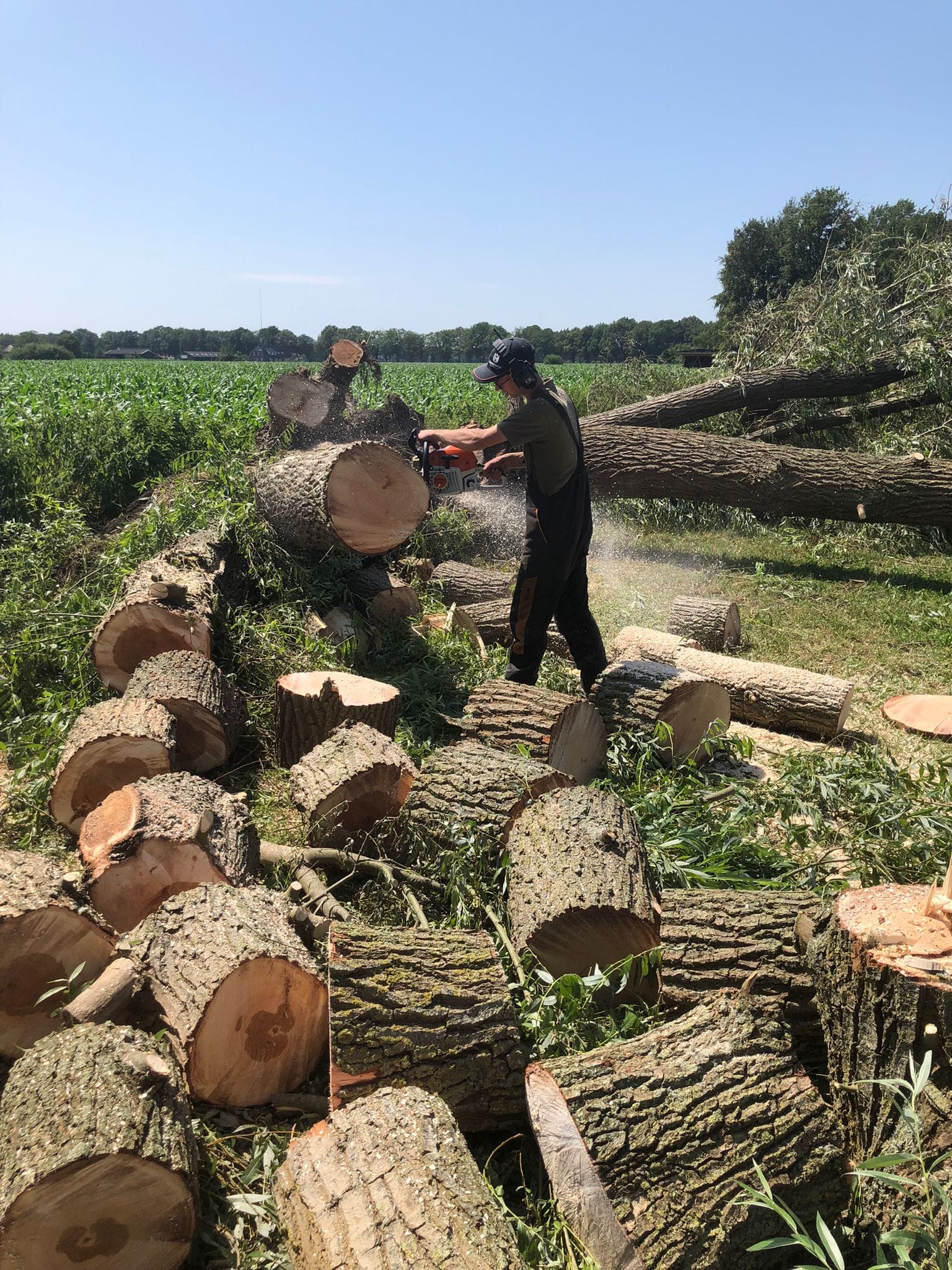 whatsapp image 2025 11 19 at 11.46.24 (4)