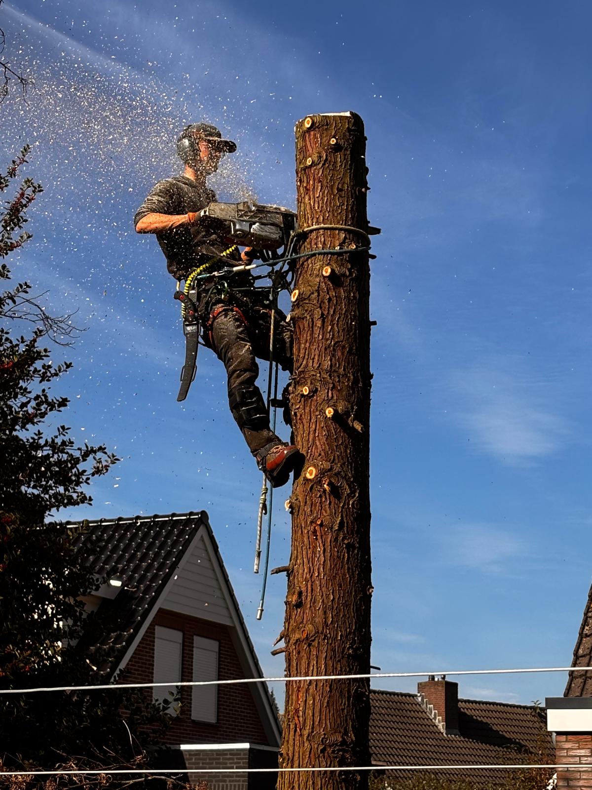 whatsapp image 2025 11 19 at 11.46.24