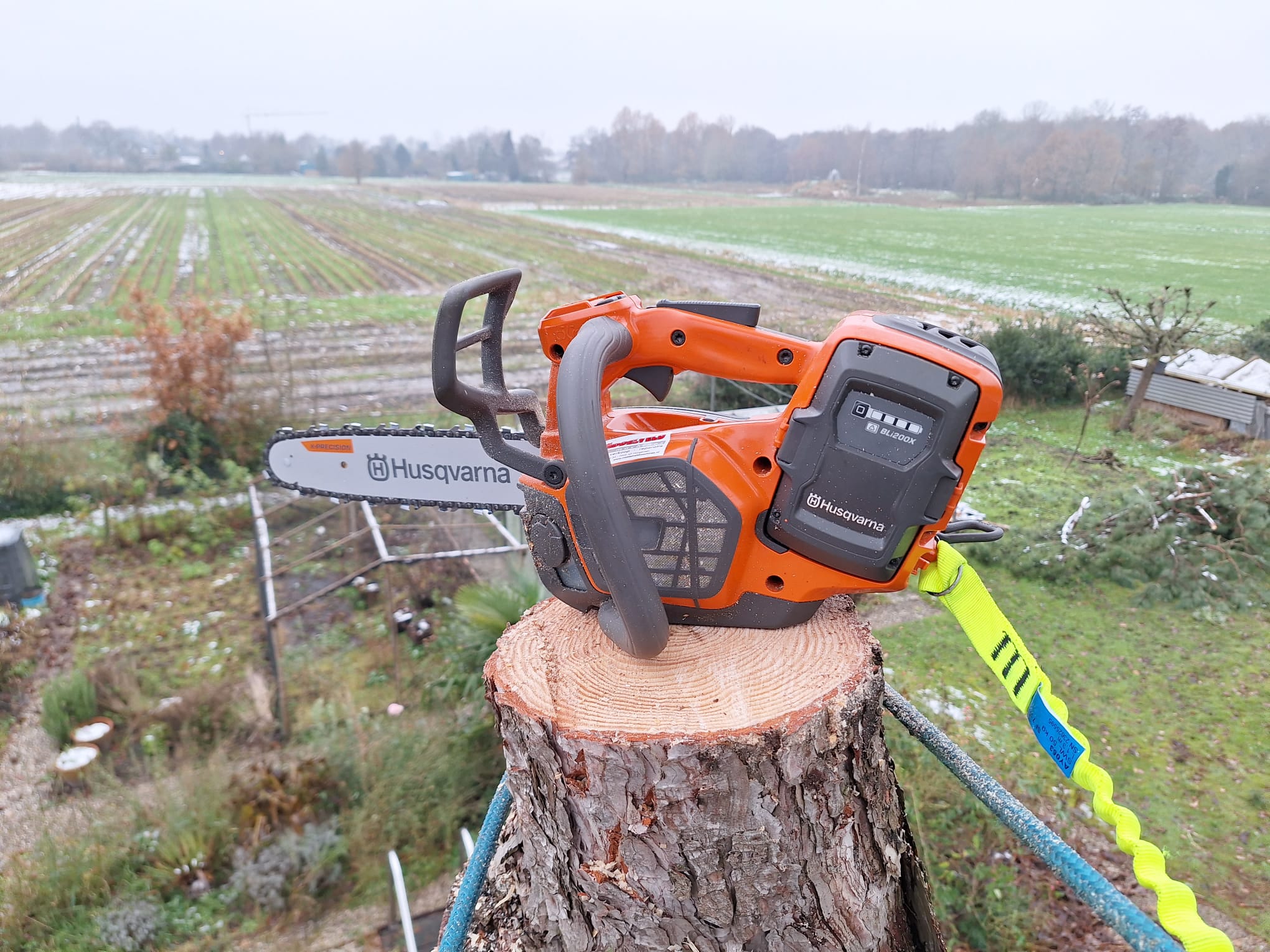 over boomverzorgd.nl, over ons